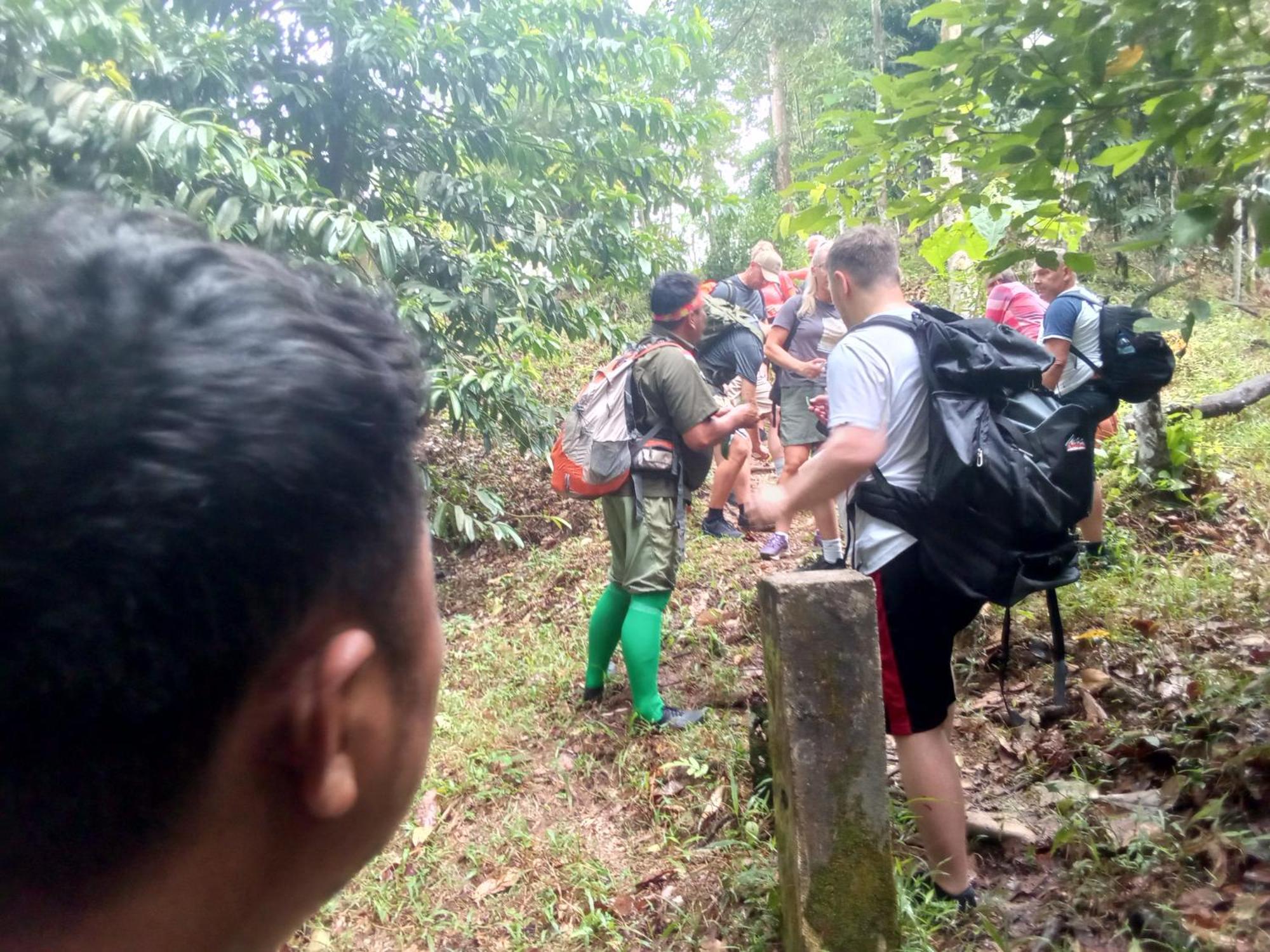 Jungle Treking & Jungle Tour If You Want To Stay Here,You Must Book Treking Only With Us Bukit Lawang Bagian luar foto