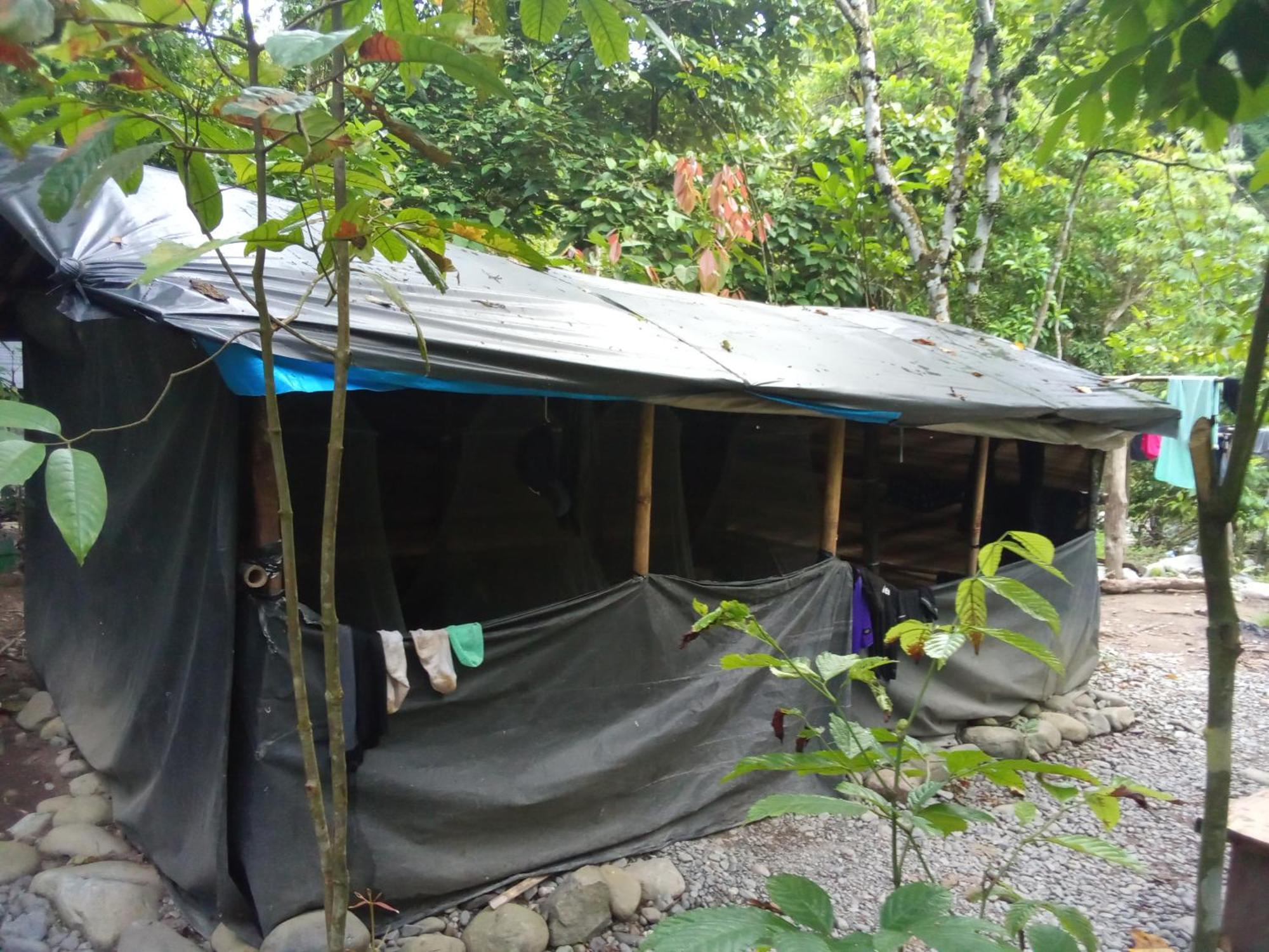 Jungle Treking & Jungle Tour If You Want To Stay Here,You Must Book Treking Only With Us Bukit Lawang Bagian luar foto