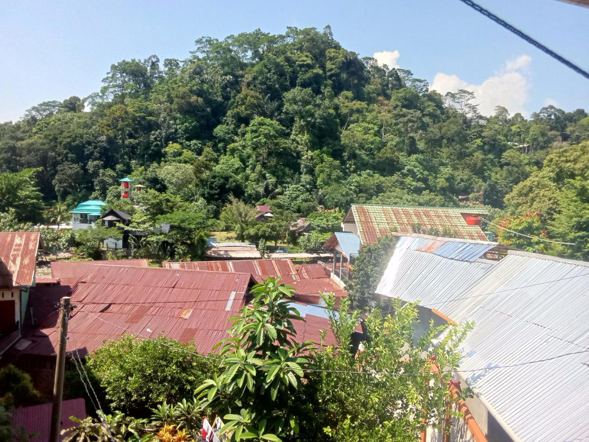 Jungle Treking & Jungle Tour If You Want To Stay Here,You Must Book Treking Only With Us Bukit Lawang Bagian luar foto