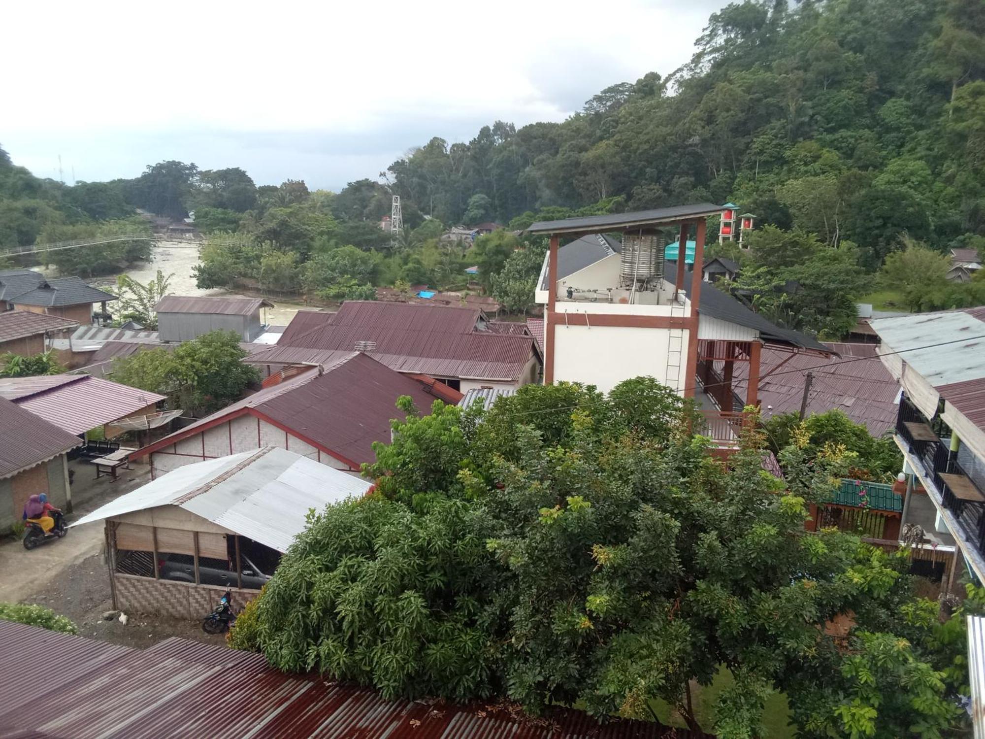 Jungle Treking & Jungle Tour If You Want To Stay Here,You Must Book Treking Only With Us Bukit Lawang Bagian luar foto