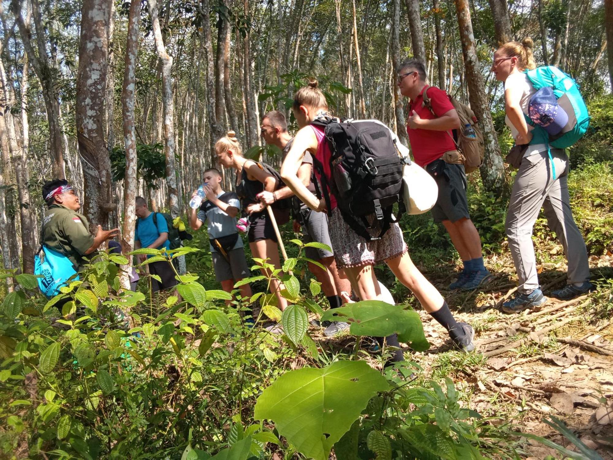 Jungle Treking & Jungle Tour If You Want To Stay Here,You Must Book Treking Only With Us Bukit Lawang Bagian luar foto